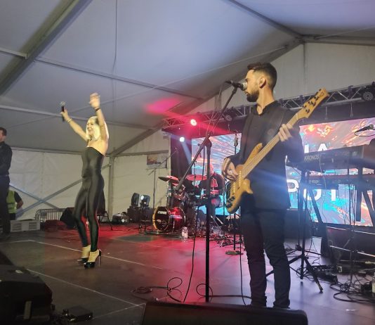 Koncert Maje Šuput