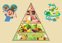 Uključite se u zelenu nabavu hrane za škole Karlovačke županije