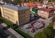 Učenici OŠ IBM Ogulin obilježili akciju „Mama budi zdrava“