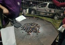 Kestenijada u Bosiljevu