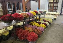 Velika ponuda cvjetnih aranžmana uoči blagdana Svih svetih