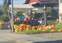 “Poljoprivredna ulica” u Otoku Oštarijskom s velikom ponudom