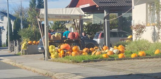 “Poljoprivredna ulica” u Otoku Oštarijskom s velikom ponudom