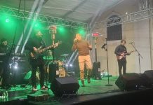 Koncert Dine Petrića