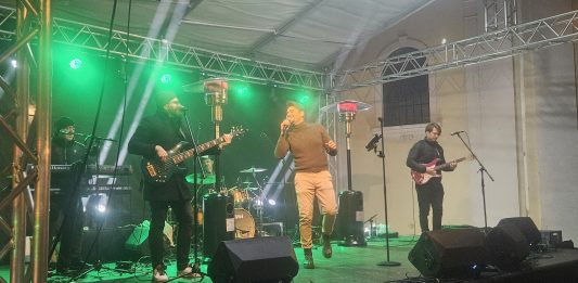 Koncert Dine Petrića