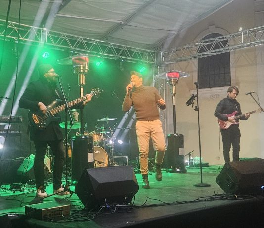 Koncert Dine Petrića