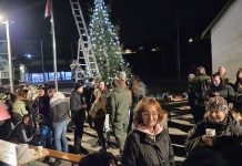 Mještani Mjesnog odbora Ribarića kitili bor