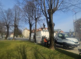 Proljetno orezivanje suhih grana na parkovnim stablima