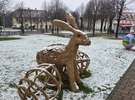 Uskršnji zeko pod snijegom