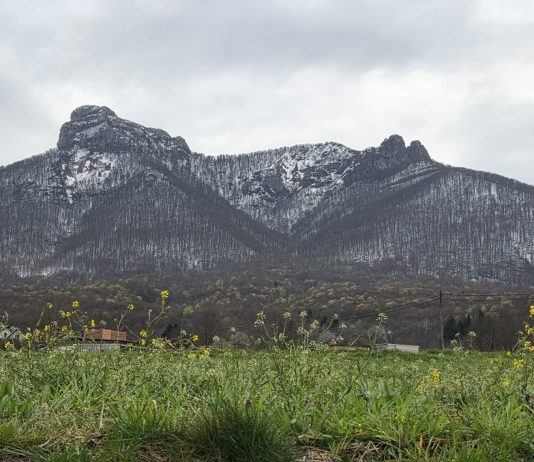 Klek još pod snijegom