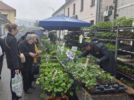 Plac u znaku povrtlarskih presadnica