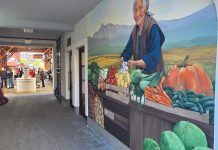 Ogulinski plac, pomalo kreću presadnice jagoda, povrća i cvijeća