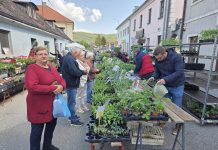 Plac s osrednjom ponudom i potražnjom