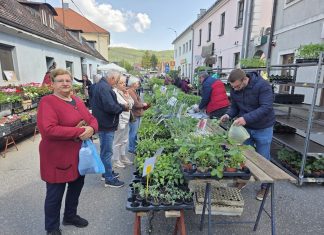 Plac s osrednjom ponudom i potražnjom