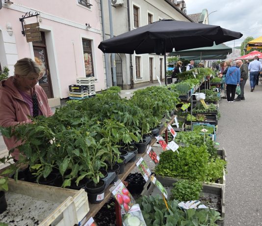 Plac u znaku presadnica