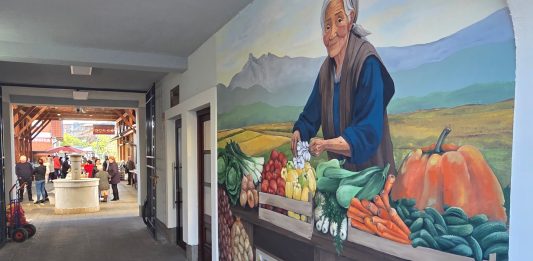 Ogulinski plac, pomalo kreću presadnice jagoda, povrća i cvijeća