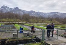Ribogojilište Vitunj proizvodi godišnje 60 tona pastrve