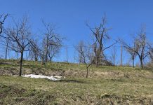 Velike štete od zadnjeg snijega na obroncima Modruša