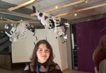 Tena Šegan 8. na državnoj smotri iz likovne kulture