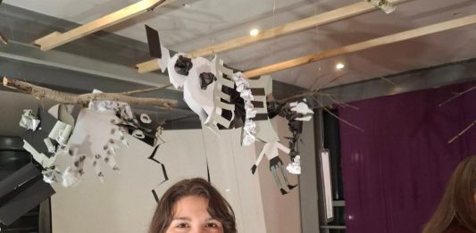 Tena Šegan 8. na državnoj smotri iz likovne kulture