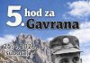 5. hod za Gavrana
