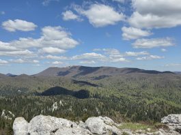 Kula na Bjelolasici