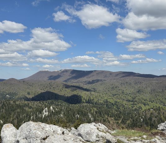 Kula na Bjelolasici