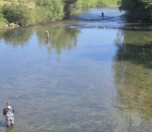Dobra ugostila sudionike 3. kola Hrvatske mušićarske lige