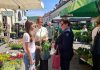 Zajednica žena HDZ-a Katarina Zrinski Ogulin tradicionalnom podjelom plavog irisa potiče preventivne preglede