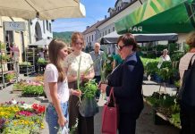 Zajednica žena HDZ-a Katarina Zrinski Ogulin tradicionalnom podjelom plavog irisa potiče preventivne preglede