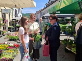 Zajednica žena HDZ-a Katarina Zrinski Ogulin tradicionalnom podjelom plavog irisa potiče preventivne preglede
