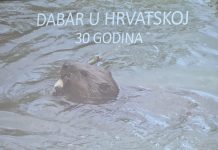 30 godina dabra u Hrvatskoj