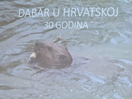 30 godina dabra u Hrvatskoj
