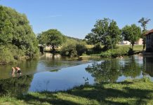 Dobra kod mlina omiljeno kupalište