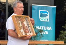 Noć leptira u organizaciji Natura vive