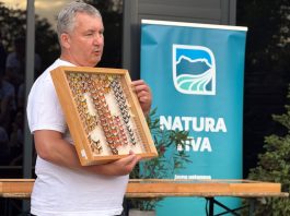 Noć leptira u organizaciji Natura vive
