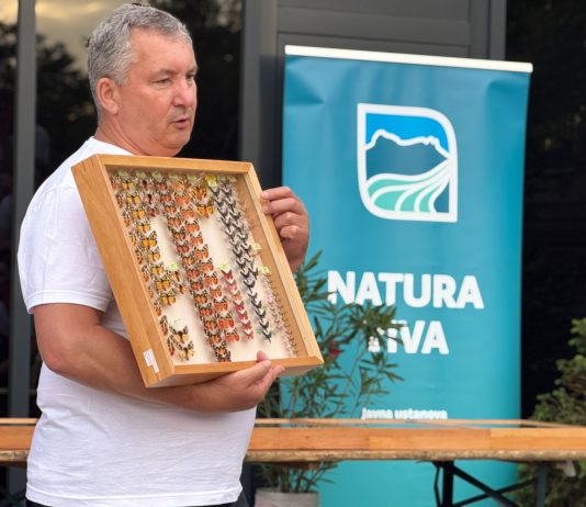 Noć leptira u organizaciji Natura vive