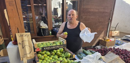 Smokve petrovke na ogulinskom placu