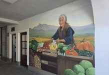 Traženo povrće za zimnicu