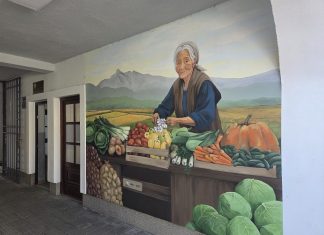 Traženo povrće za zimnicu