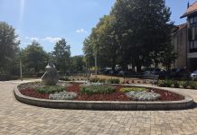 Golubica na Zrinskom trgu