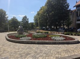 Golubica na Zrinskom trgu