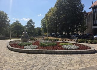 Golubica na Zrinskom trgu