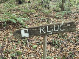 Stari grad Ključ