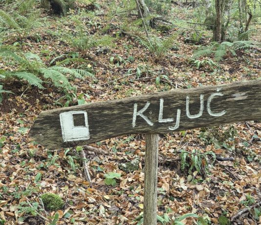 Stari grad Ključ