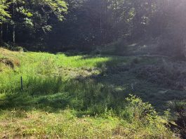 Rupećica nikad siromašnija vodom