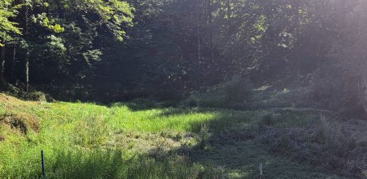 Rupećica nikad siromašnija vodom