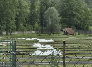 Aeracija bazena u ribogojilištu Vitunj