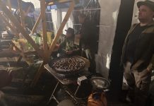 Kestenijada u Bosiljevu