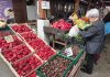 Dominiraju cvjetni aranžmani i trajnice